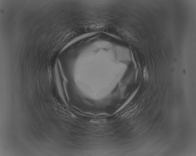 X0000067891299200605041542