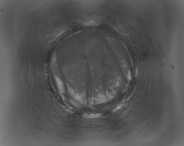 X0000067891301200605041542