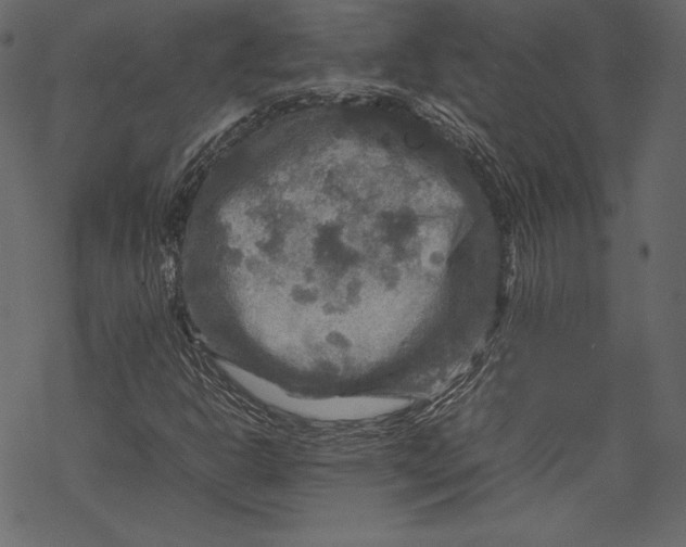 X0000067891302200605041542