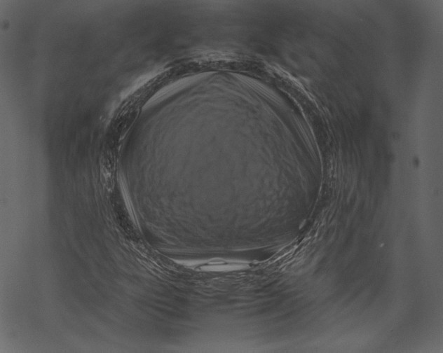 X0000067891303200605041542