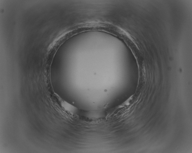 X0000067891304200605041542