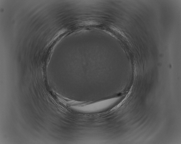 X0000067891305200605041542