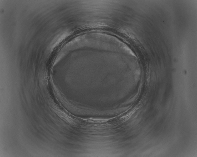 X0000067891306200605041542