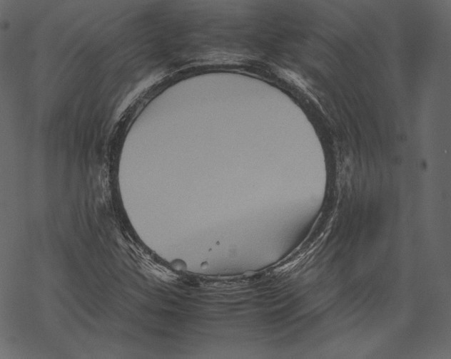 X0000067891307200605041542