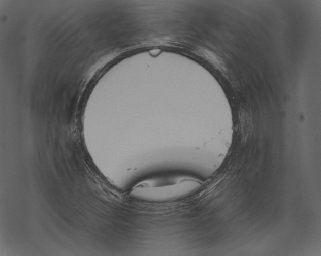 X0000067891308200605041542