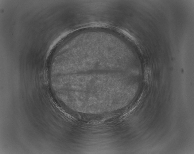 X0000067891310200605041542