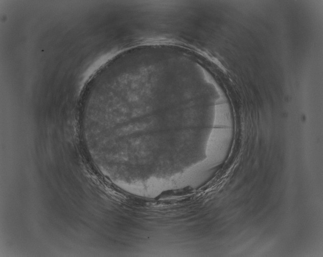 X0000067891311200605041542