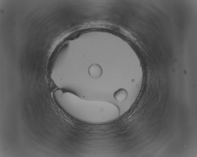 X0000067891312200605041542