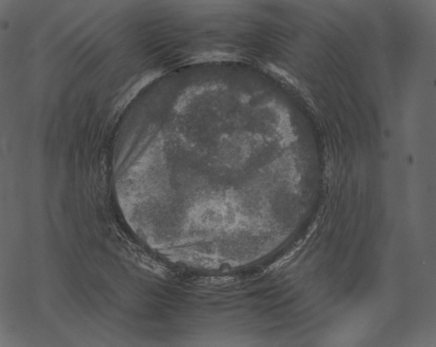 X0000067891313200605041542