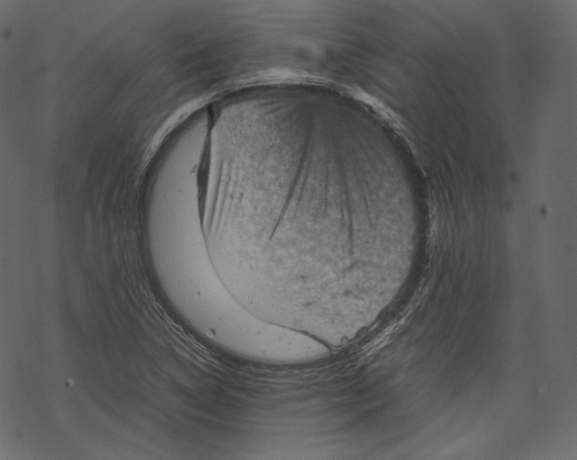 X0000067891314200605041542