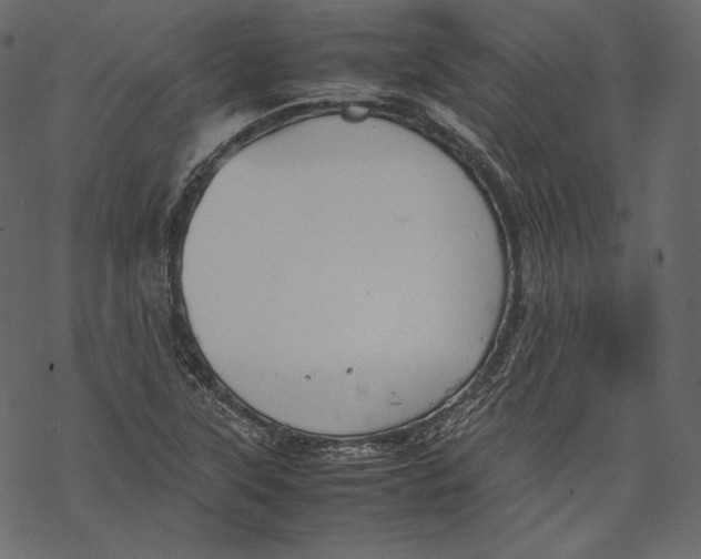 X0000067891315200605041542