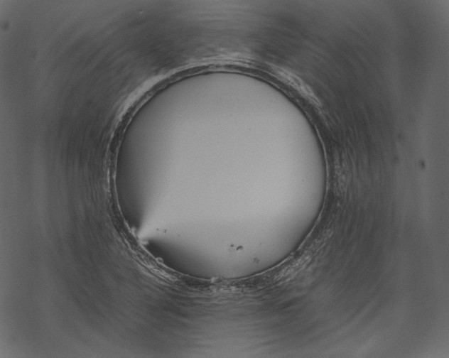 X0000067891316200605041542