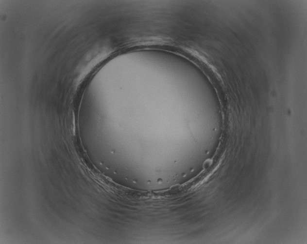 X0000067891317200605041542