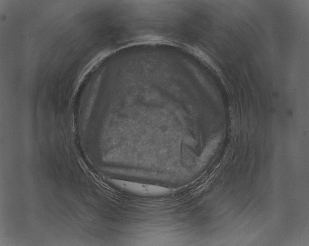 X0000067891318200605041542