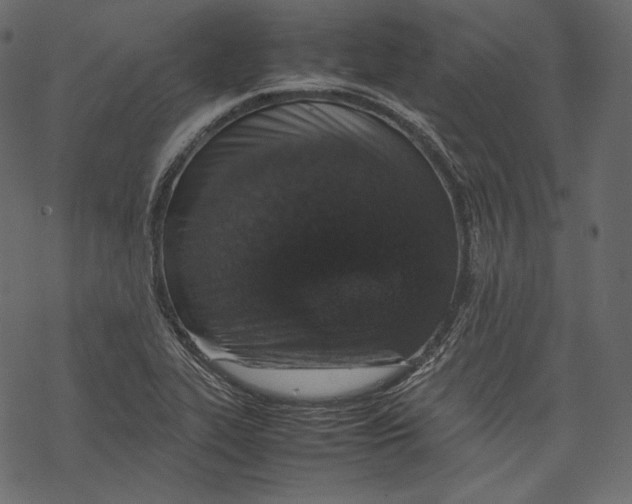 X0000067891319200605041542