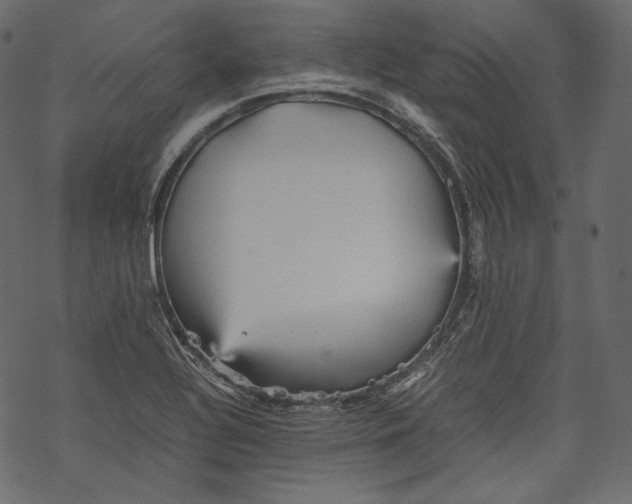 X0000067891320200605041542