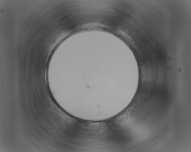 X0000067891322200605041542