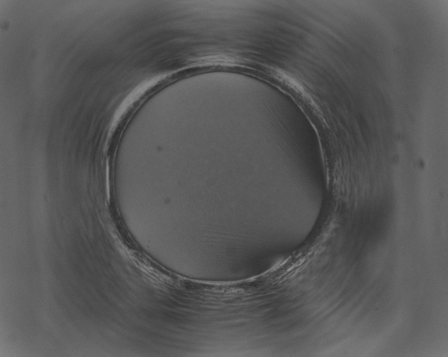 X0000067891323200605041542