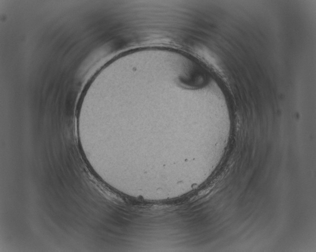 X0000067891324200605041542