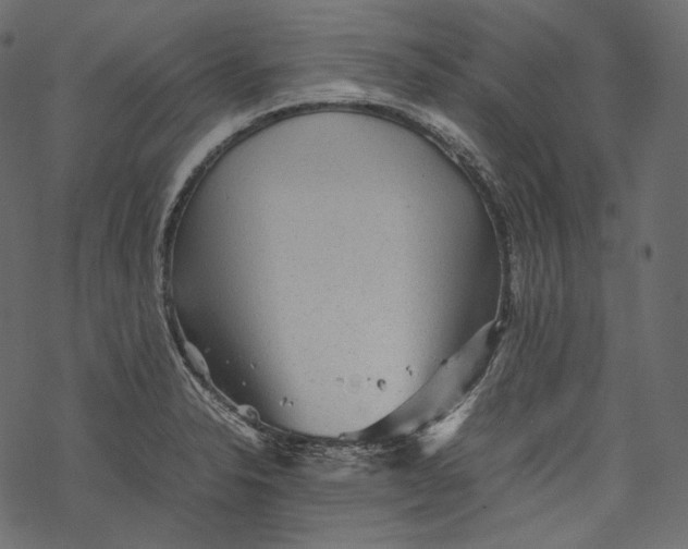 X0000067891326200605041542