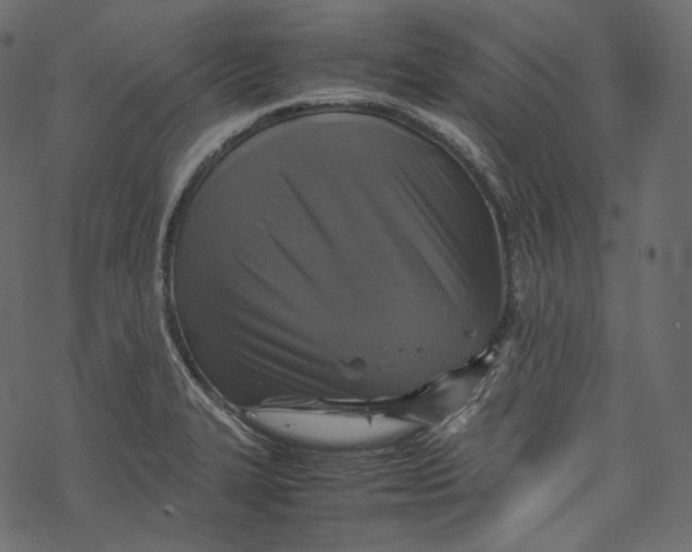 X0000067891327200605041542