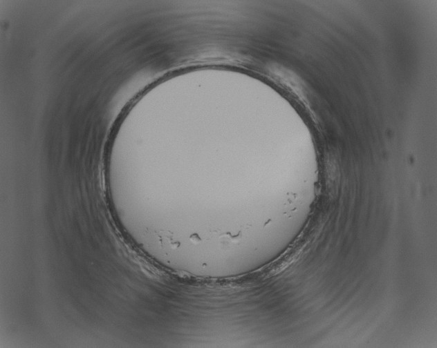 X0000067891328200605041542