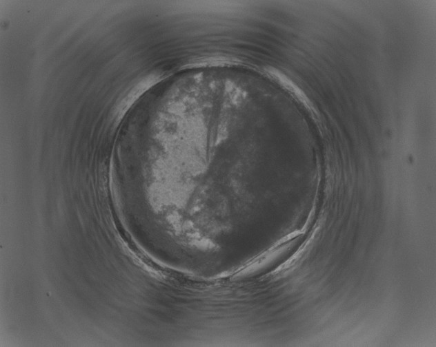 X0000067891329200605041542