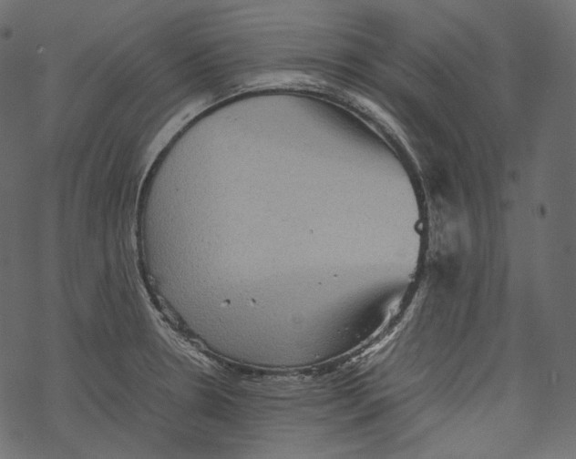 X0000067891330200605041543