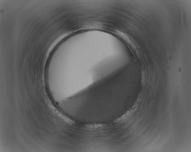 X0000067891331200605041543