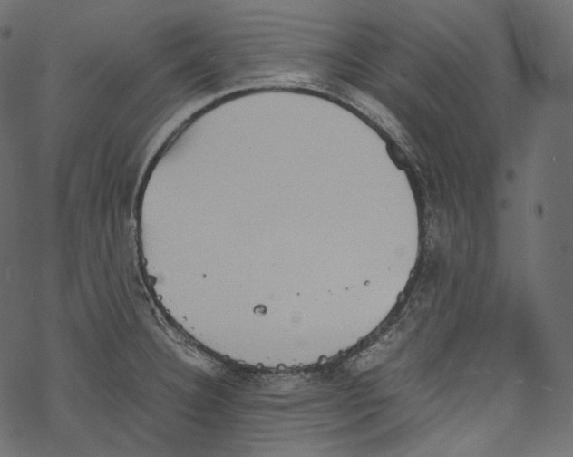 X0000067891332200605041543