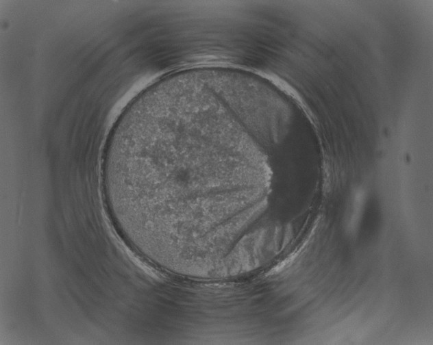 X0000067891333200605041543