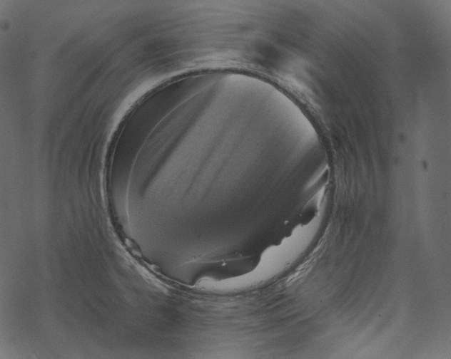 X0000067891334200605041543