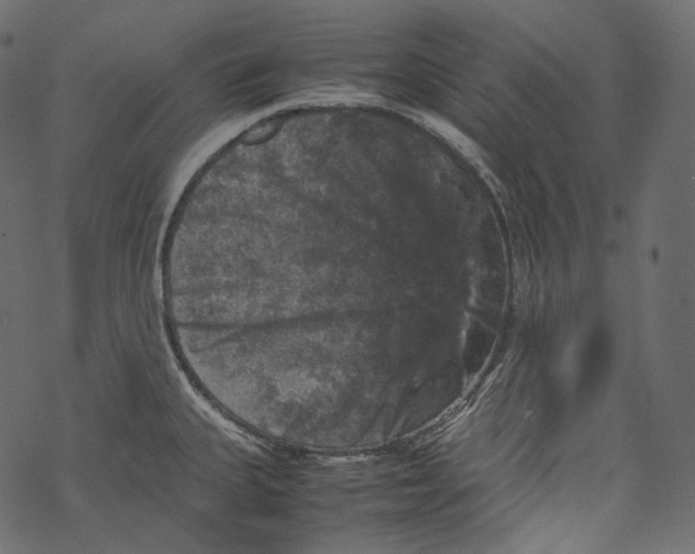 X0000067891335200605041543