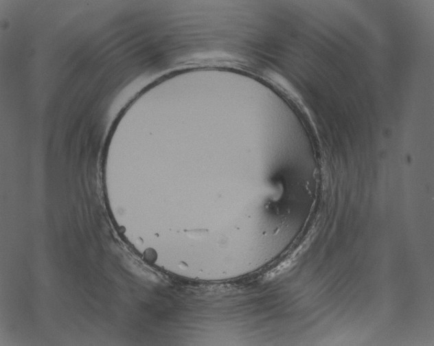 X0000067891336200605041543