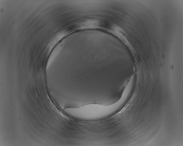 X0000067891337200605041543