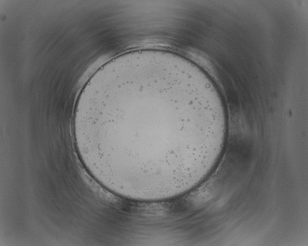 X0000067891338200605041543