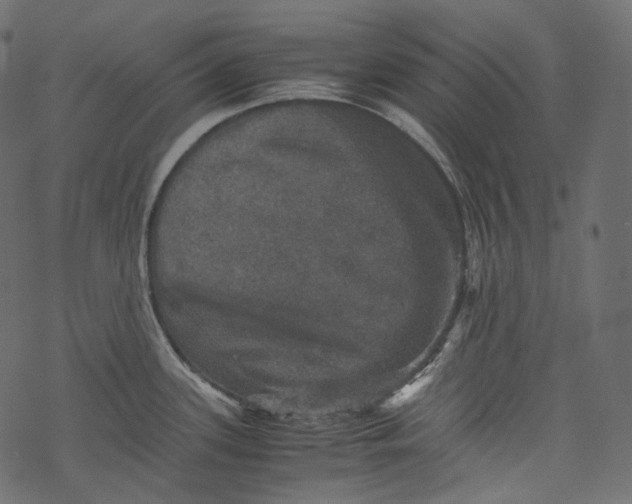 X0000067891339200605041543