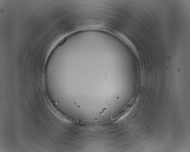 X0000067891340200605041543