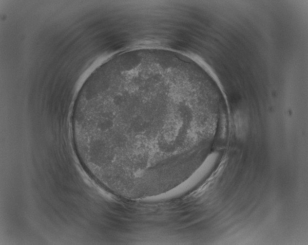 X0000067891341200605041543