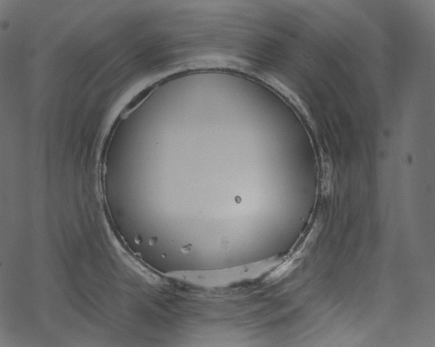 X0000067891342200605041543