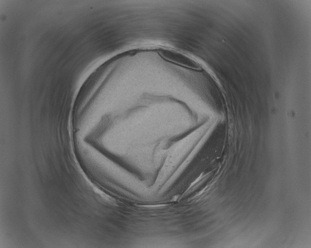 X0000067891343200605041543