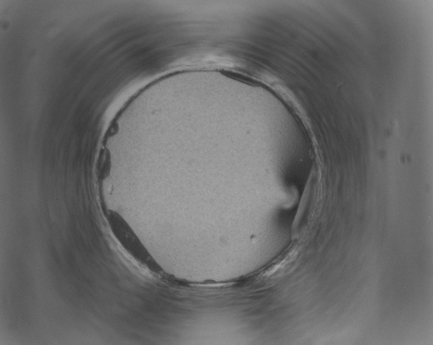 X0000067891344200605041543