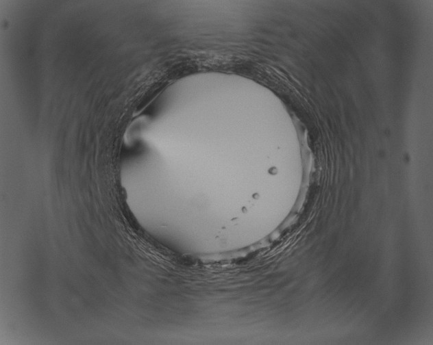 X0000067891345200605041542