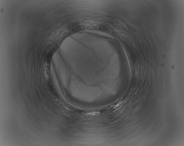 X0000067891346200605041542