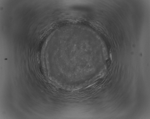 X0000067891347200605041542