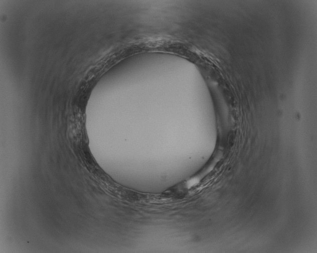 X0000067891349200605041542