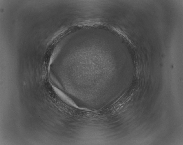 X0000067891350200605041542