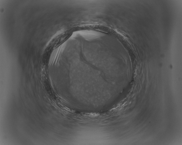 X0000067891351200605041542