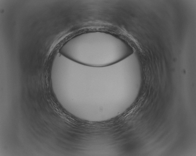 X0000067891352200605041542