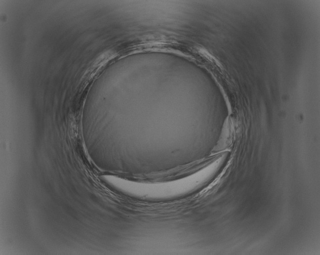 X0000067891353200605041542